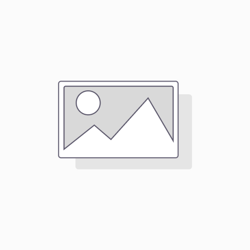Consulting - per hour